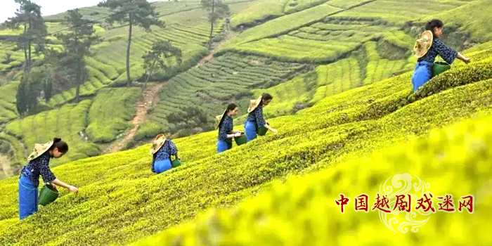 你不“回家”，越剧小镇一直在牵挂