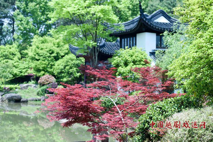 嵊州越剧艺术学校•浙江音乐学院戏曲表演（越剧）专业中职与应用型本科一体化培养招生简章