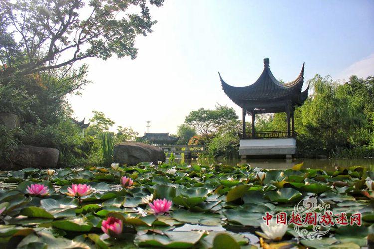 超脑速读越剧体验之旅开始报名啦