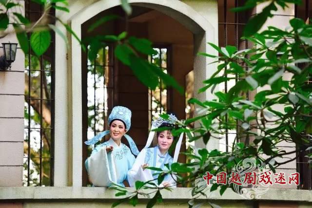 越坛双梅始盛开，鹏城又迎蜻蜓来！——深青越邀您6月8、9日共赏《越剧折子戏专场》、《玉蜻蜓》