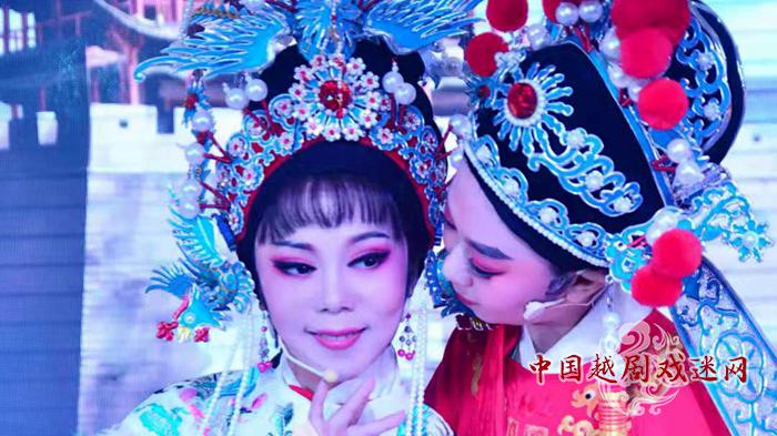 三晋盛开南国花